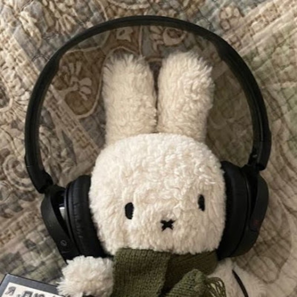 headphonebunny